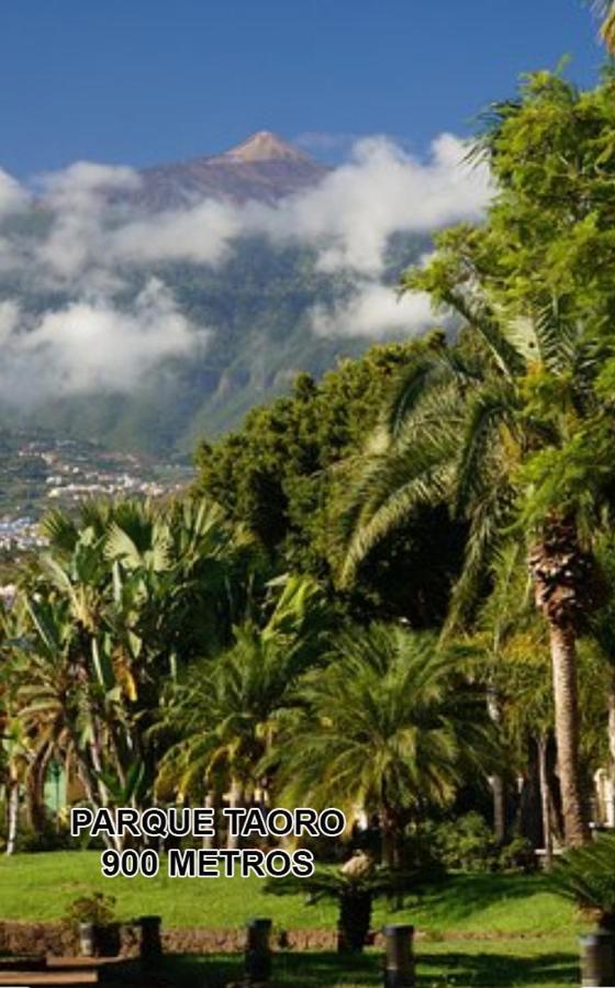 Toplage. Blick. Sauber. Guenstig. Pool. Gepflegt Puerto de la Cruz  Exteriér fotografie