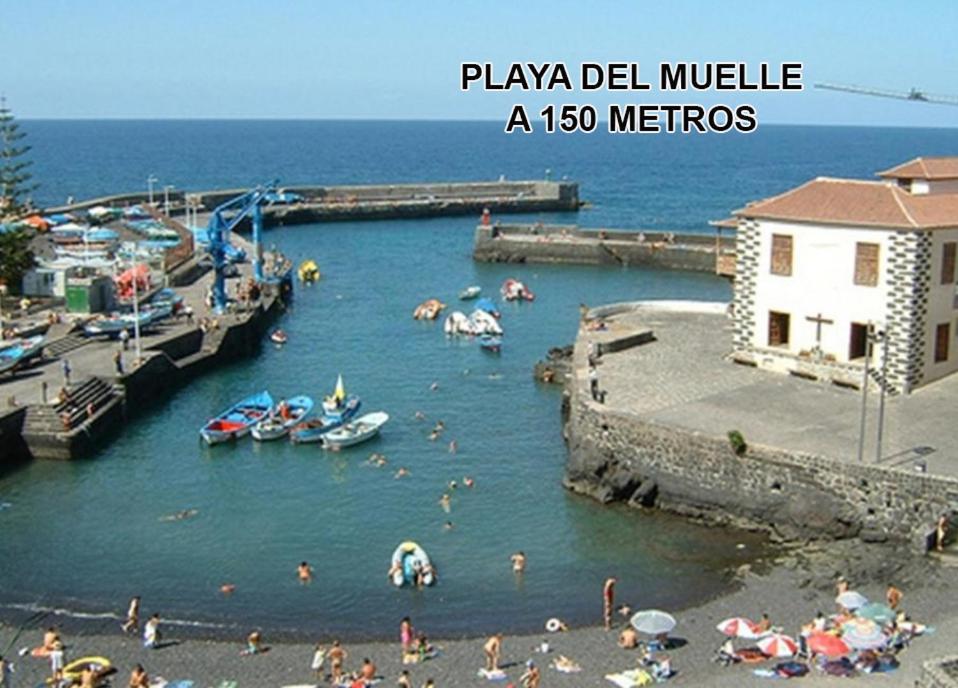 Toplage. Blick. Sauber. Guenstig. Pool. Gepflegt Puerto de la Cruz  Exteriér fotografie
